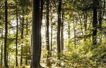5 Wisata Karanganyar Populer, Destinasi Liburan Seru dan Terjangkau