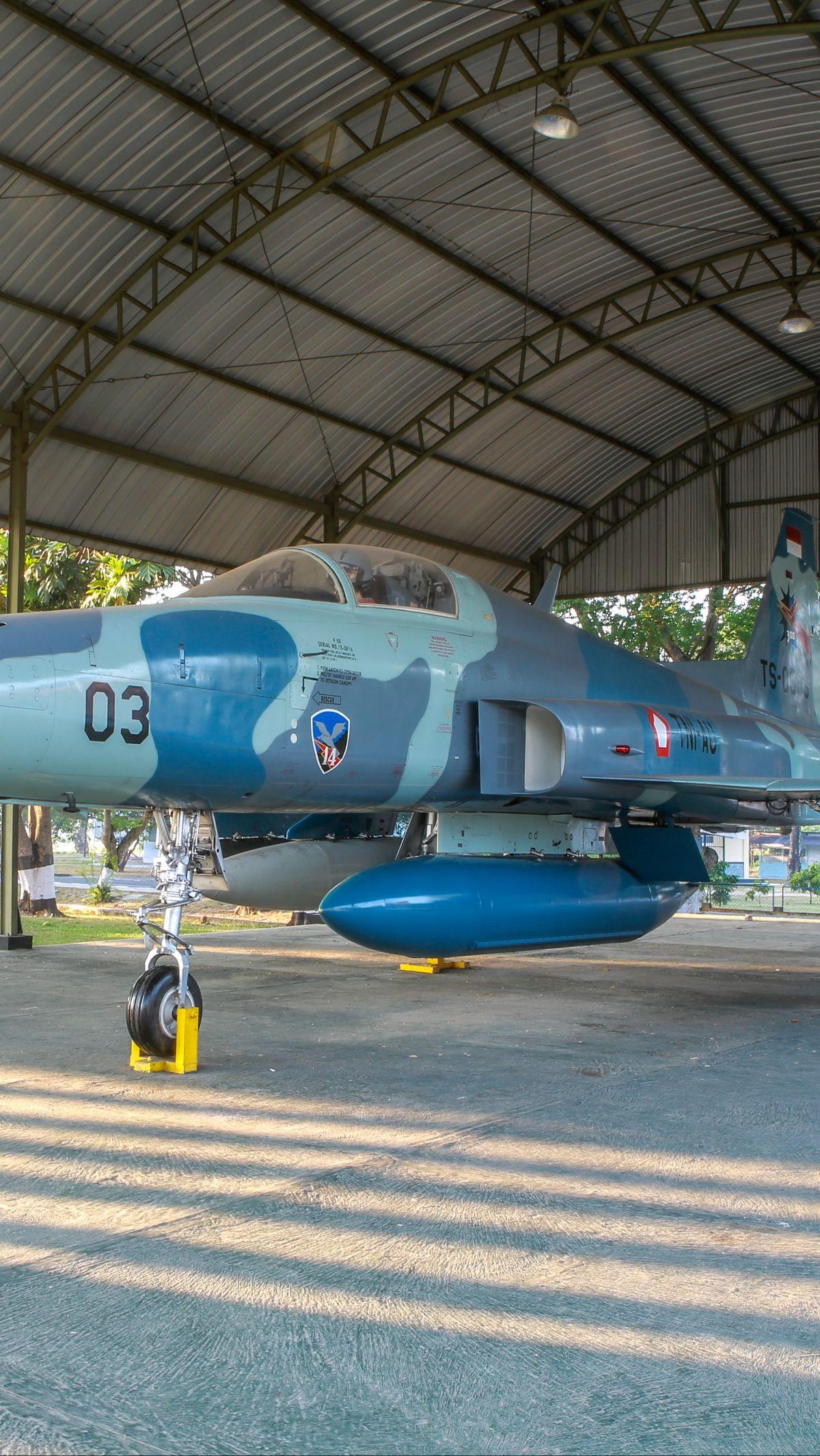 2. Northrop F-5 (1959 hingga Sekarang)<br>