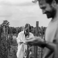 Jangan lewatkan keseruan kuliner di Mosto, karya kolaborasi dua chef ternama dan agenda seru lainnya di bulan April. (Foto: Mosto.dok)