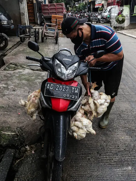 Pekerja bersiap mengantarkan ayam potong yang dipesan pembeli di tempat pemotongan saat pandemi COVID-19 di kawasan Kebayoran Lama, Jakarta, Jumat (29/1/2021). Saat ini harga ayam ras di tingkat konsumen berkisar Rp 27.000 per kilogram. (Liputan6.com/Johan Tallo)