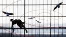 Atlet Nicole Buechler dari Swiss tengah berlatih di nomor lompat galah persiapan ajang IAAF Diamond League international Athletics di Zurich, Swiss, (31/8/2016). ajang ini dimulai pada tanggal 1 september 2016. (EPA/Ennino Leanza)