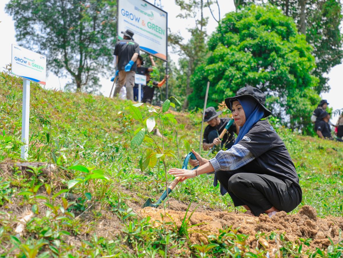Aksi Nyata Kelompok Tani Mantan Penambang Pulihkan Hutan Melalui BRImenanam Grow & Green