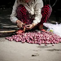 Ilustrasi Seorang Wanita sedang Mengupas Bawang Merah (Photo by Pexels on Pixabay)