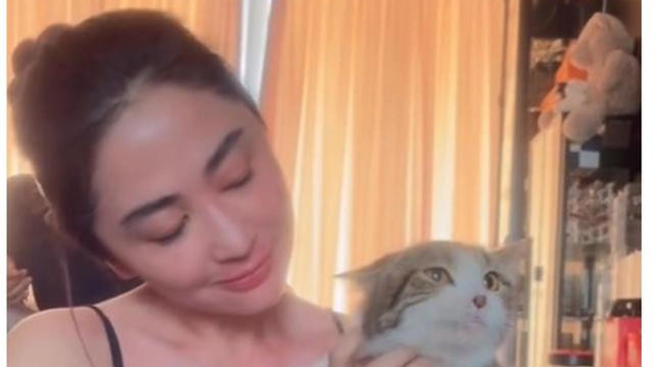 6 Potret Dewi Perssik Rawat Kucing Eko Patrio yang Selamat Pasca Penjarahan Rumah