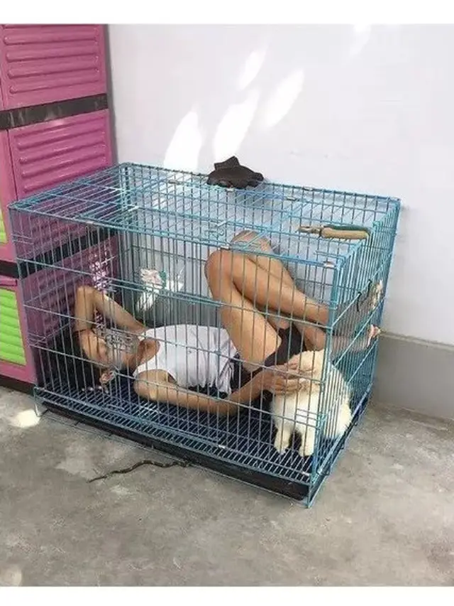 Kelakuan Kocak Orang Saat di Kandang Hewan Ini Bikin Tepuk Jidat
