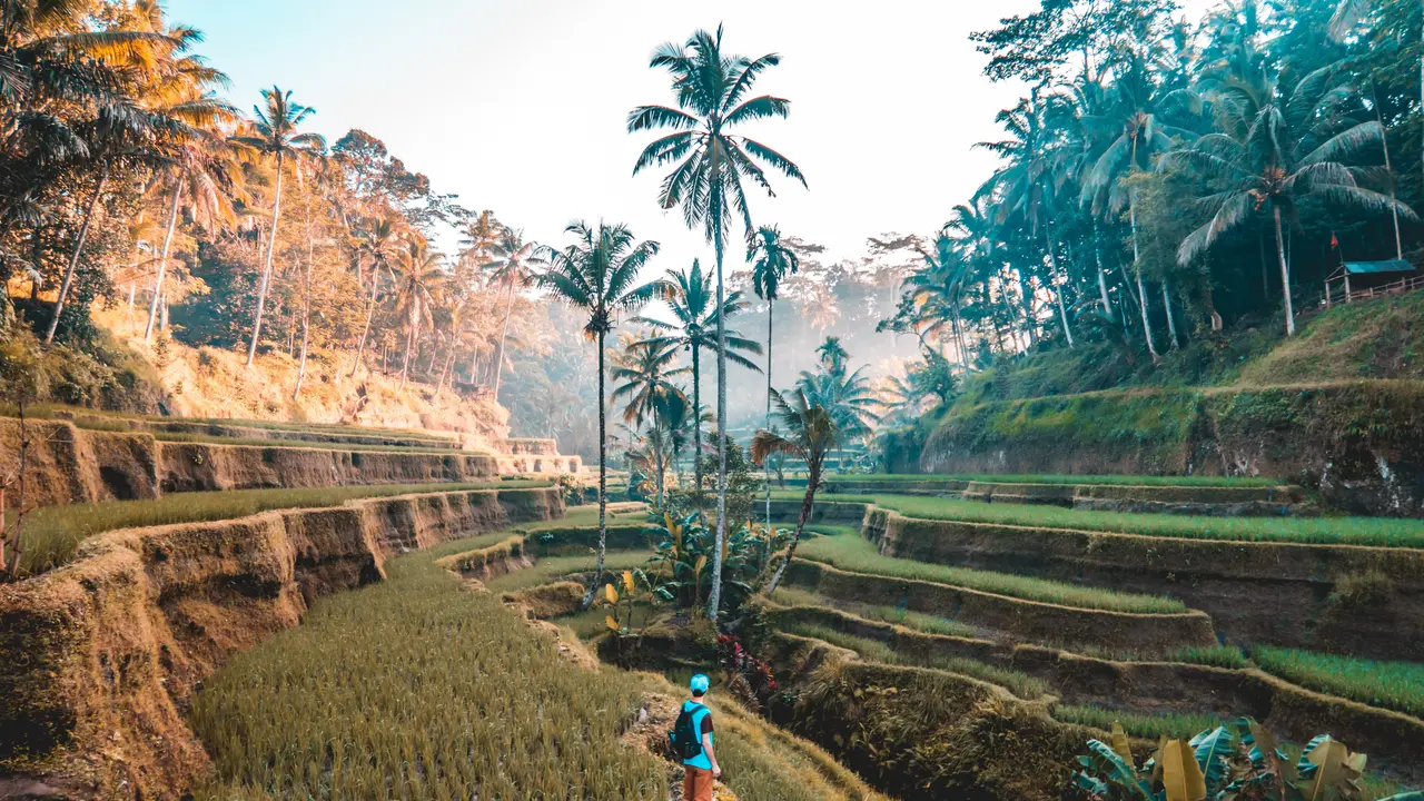 Ilustrasi Bali