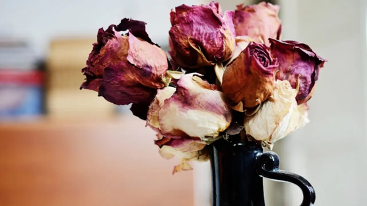 Foto: Copyright ThinkStockPhotos.com