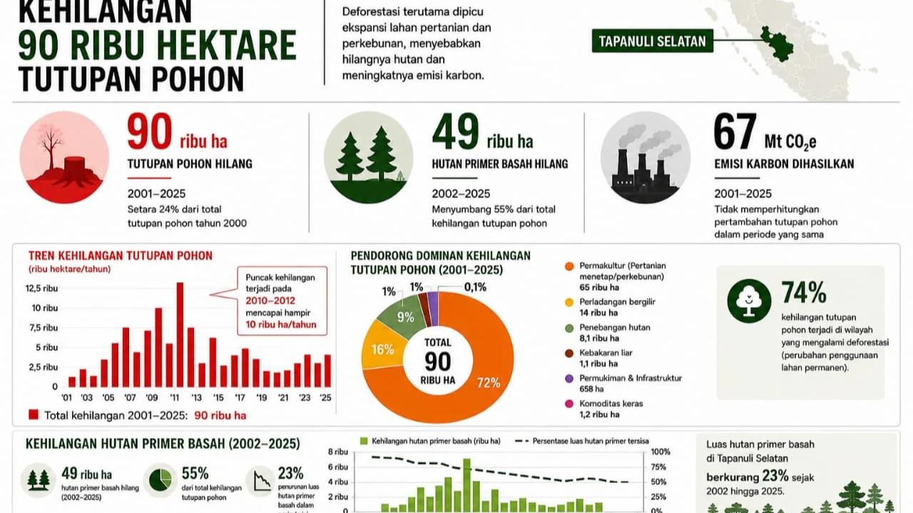 Ketika Hutan Tak Lagi Menahan Air: Menilik Jejak Deforestasi di Balik Cuaca Ekstrem Sumatra Utara