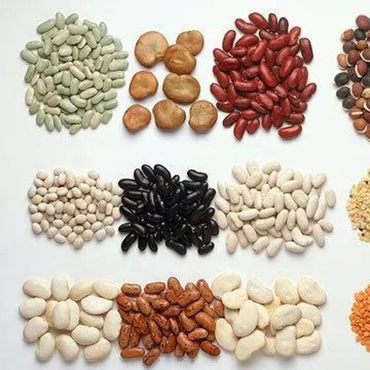 Makanan Sehat yang Aman untuk Penderita Kolesterol Tinggi, Mulai dari Sayuran hingga Kacang-Kacangan