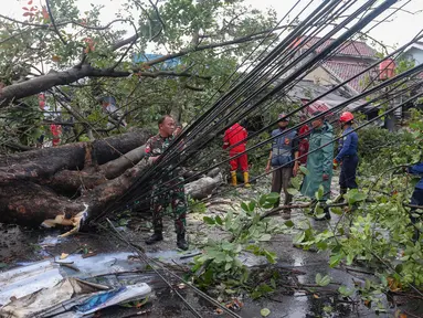 Petugas mengevakuasi pohon tumbang yang menghalangi jalan raya di pertigaan Jalan Curug Agung, Kecamatan Beji, Kota Depok, Jawa Barat pada Rabu (25/6/2025). (merdeka.com/Arie Basuki)