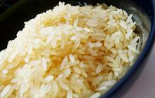 8 Tips Menyimpan Nasi yang Sudah Dimakan Sebagian agar Tetap Higienis, Panduan Aman dan Efektif