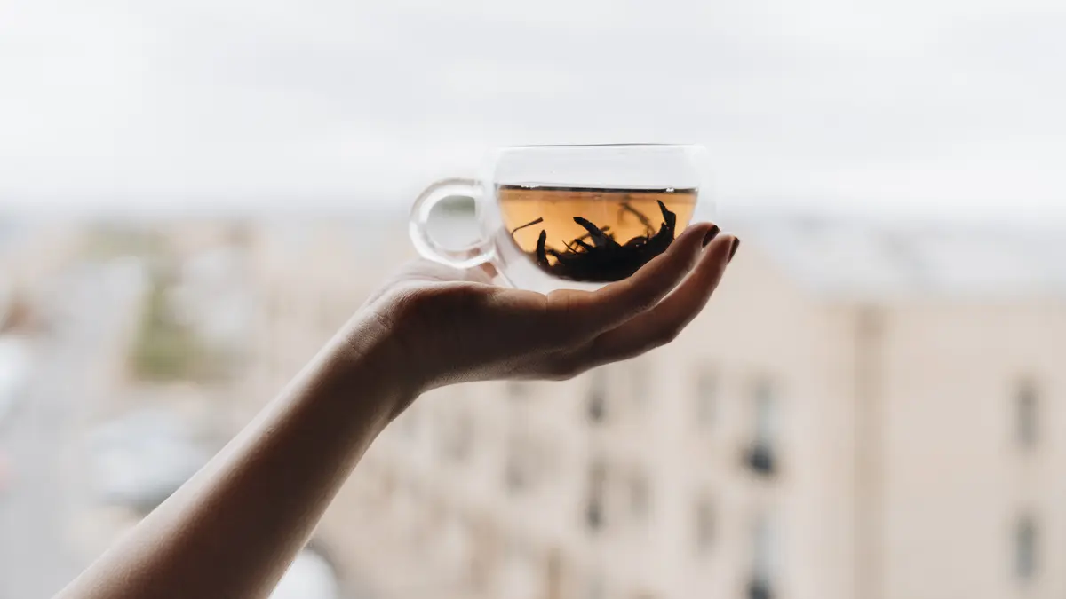 khasiat teh rooibos