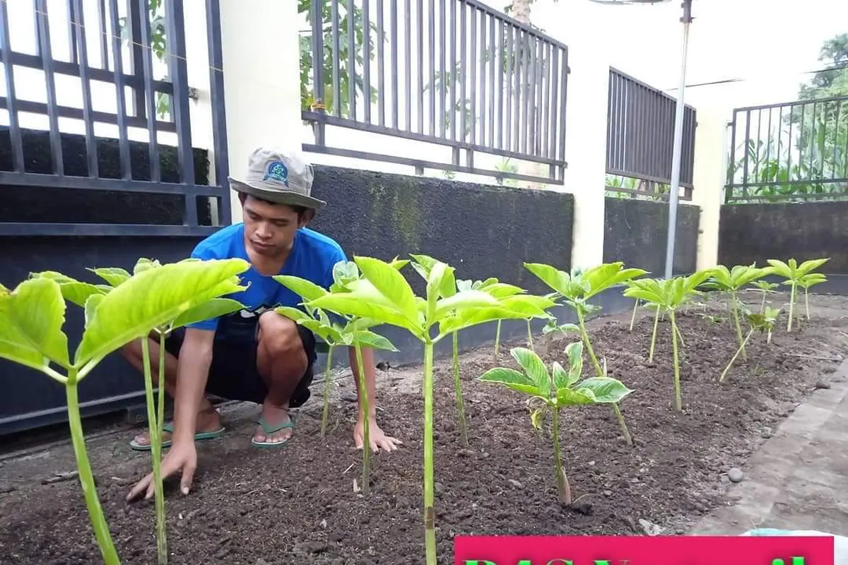 Percepat Regenerasi, Duta Milenial Kementan Ajak Ribuan Petani Kembangkan Peran Petani Kembangkan Pertanian Organik