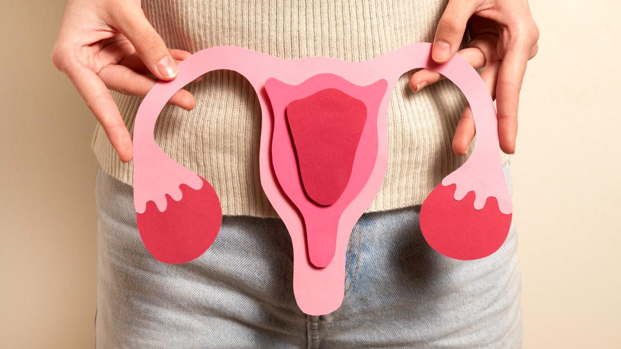 Ilustrasi Sistem Reproduksi Wanita