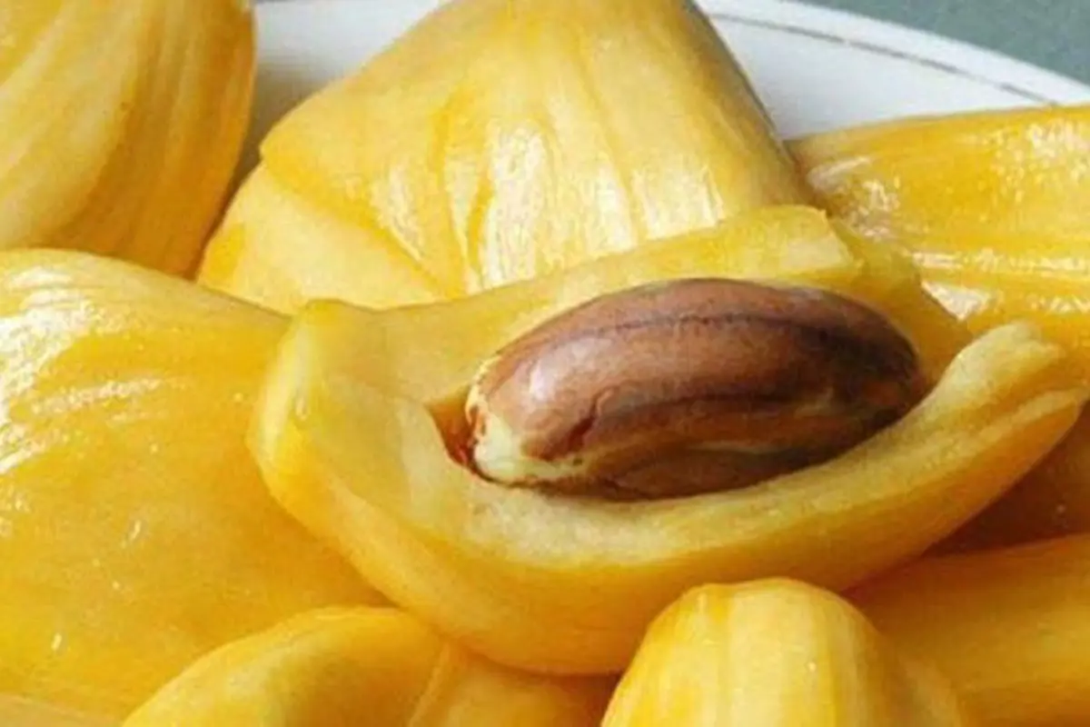 Buah-Buahan Seperti Durian, Lengkeng, dan Nangka