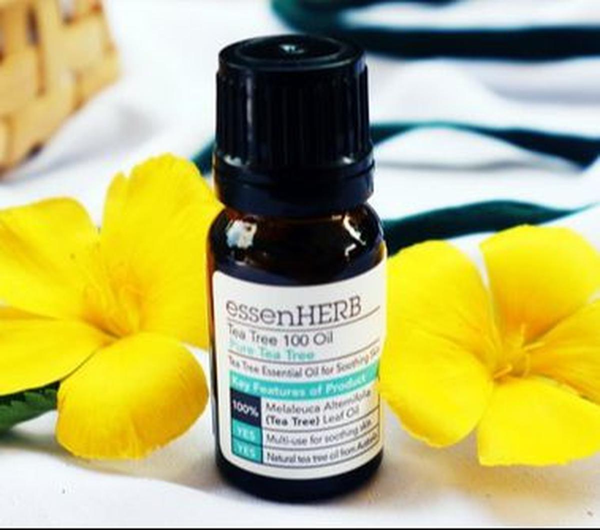 6. Rawat Kulit Kepala dengan <i>Tea Tree Oil</i>