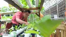 Seorang narapidana mengecek tanaman saat Festival Napi Berkebun (FNB) 2015 di Pasar Festival Gelanggang Olahraga Soemantri Brodjonegoro, Kuningan, Jakarta Selatan, Jumat, (18/12/15). (Liputan6.com/Faisal R Syam)