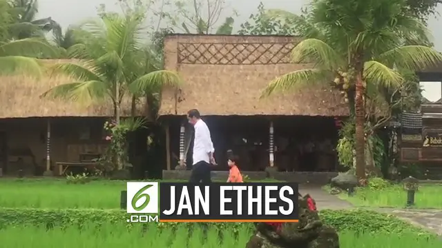 Disela-sela kunjungan kerjanya di Bali, Presiden Joko Widodo atau Jokowi menyempatkan untuk menemani sang cucu Jan Ethes Srinarendra bermain di pinggir sawah.