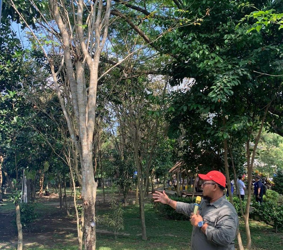 Dok. Istimewa