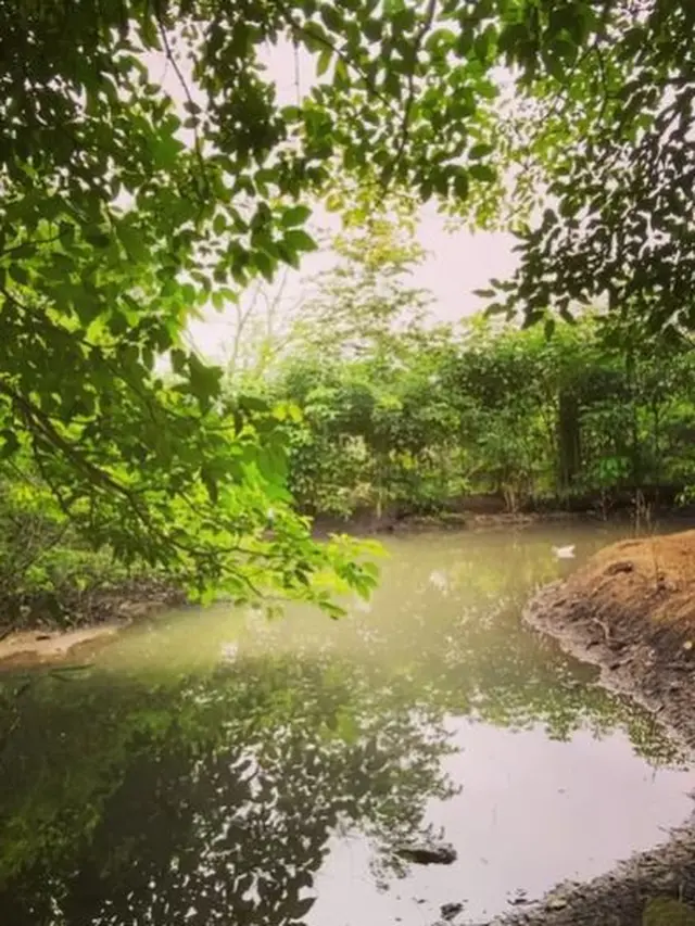 Kisah Hutan Pangan dan Konsep Keberlanjutan Holistik dari Pendiri Restoran di Ekuador