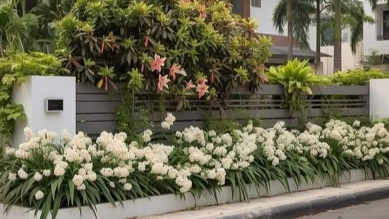 Ilustrasi Taman Depan Rumah Minimalis di Lahan Sempit (©Pinterest)