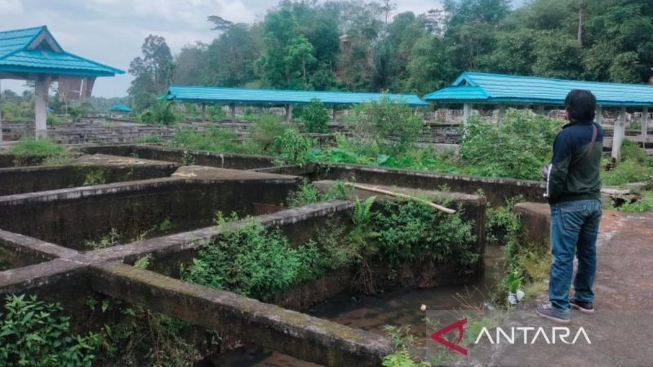 Revitalisasi Kolam Rejang Lebong: Pemkab Siapkan Proyek Percontohan Dongkrak PAD