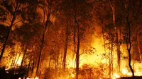 Dalam beberapa minggu belakangan ini beberapa wilayah di Indonesia kembali dilanda kebakaran hebat.