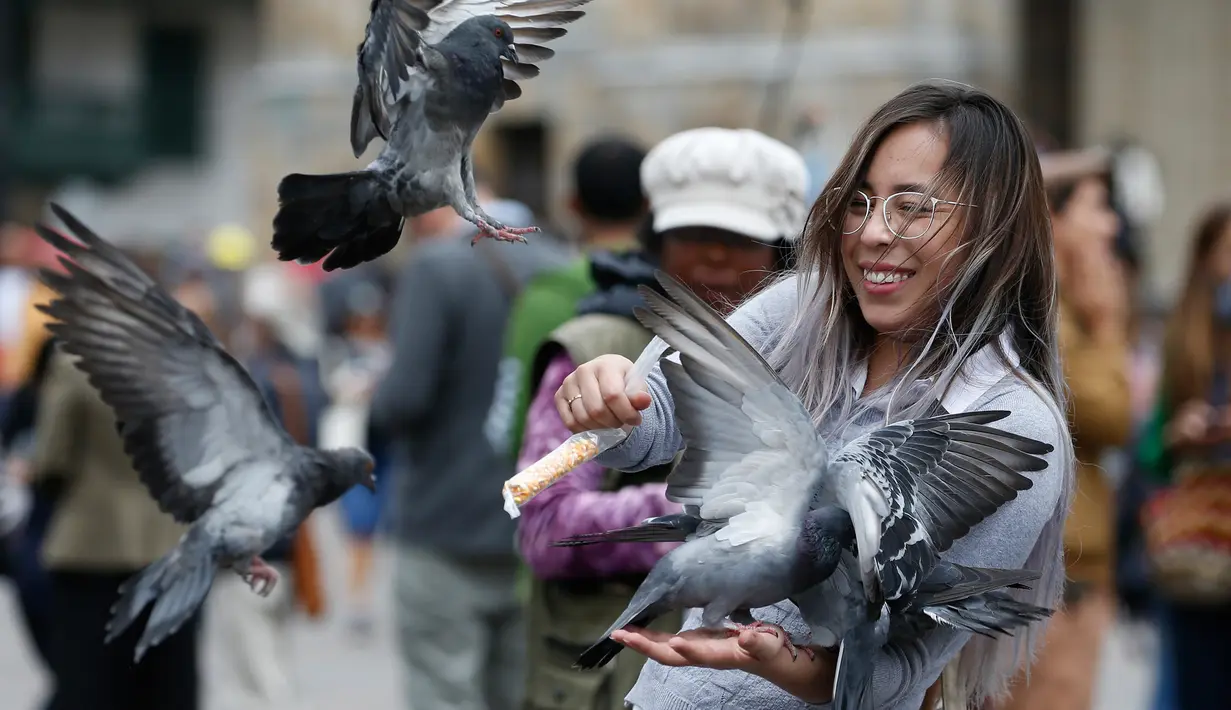 Seorang wanita memberi makan merpati di Alun-Alun Bolivar, Bogota, 2 Oktober 2018. Pemerintah Bogota berusaha mengurangi jumlah populasi merpati melalui larangan bagi pengunjung untuk tidak memberi makan lagi burung-burung itu. (AP/Fernando Vergara)