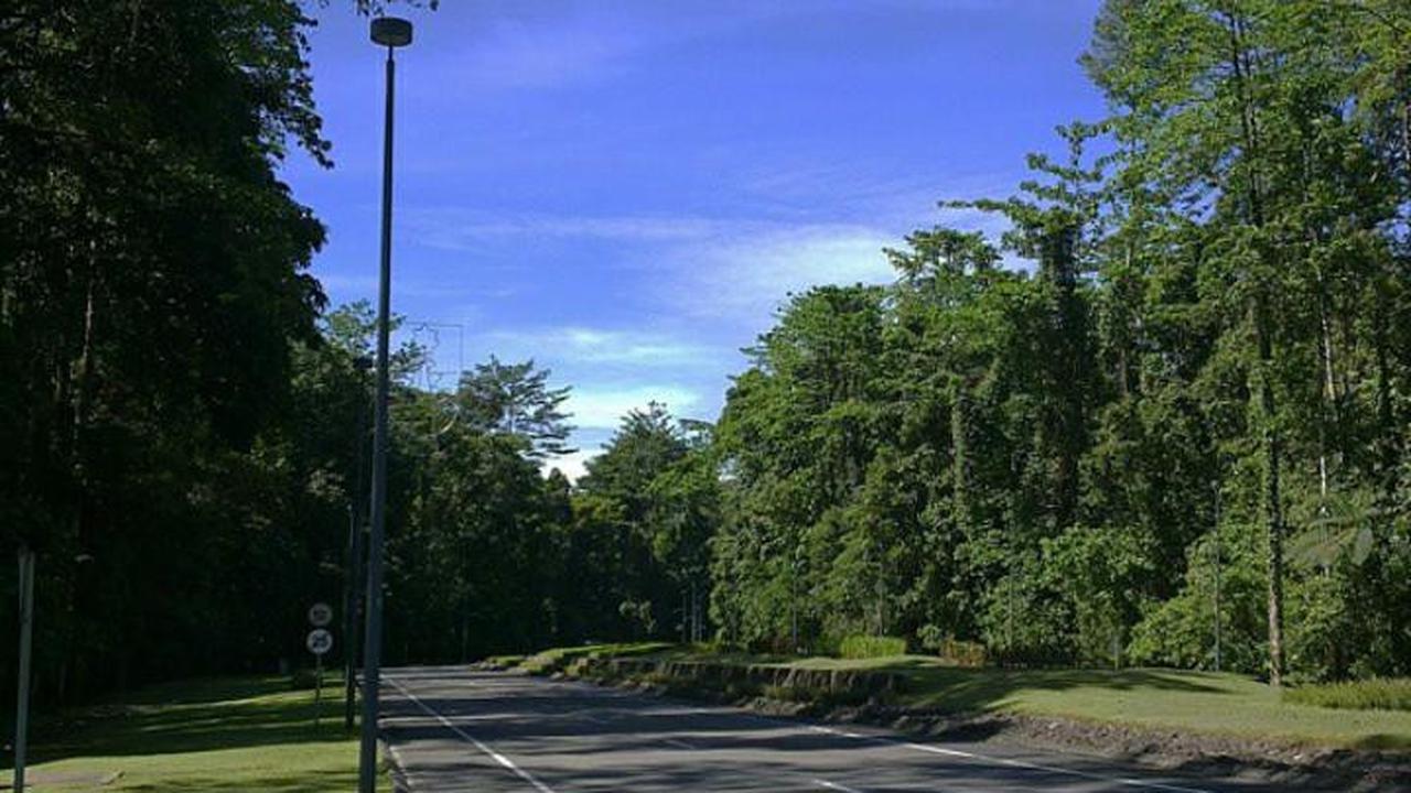 6 Fakta Menarik tentang Kuala Kencana, Kota Modern di Tengah Hutan Mimika Papua