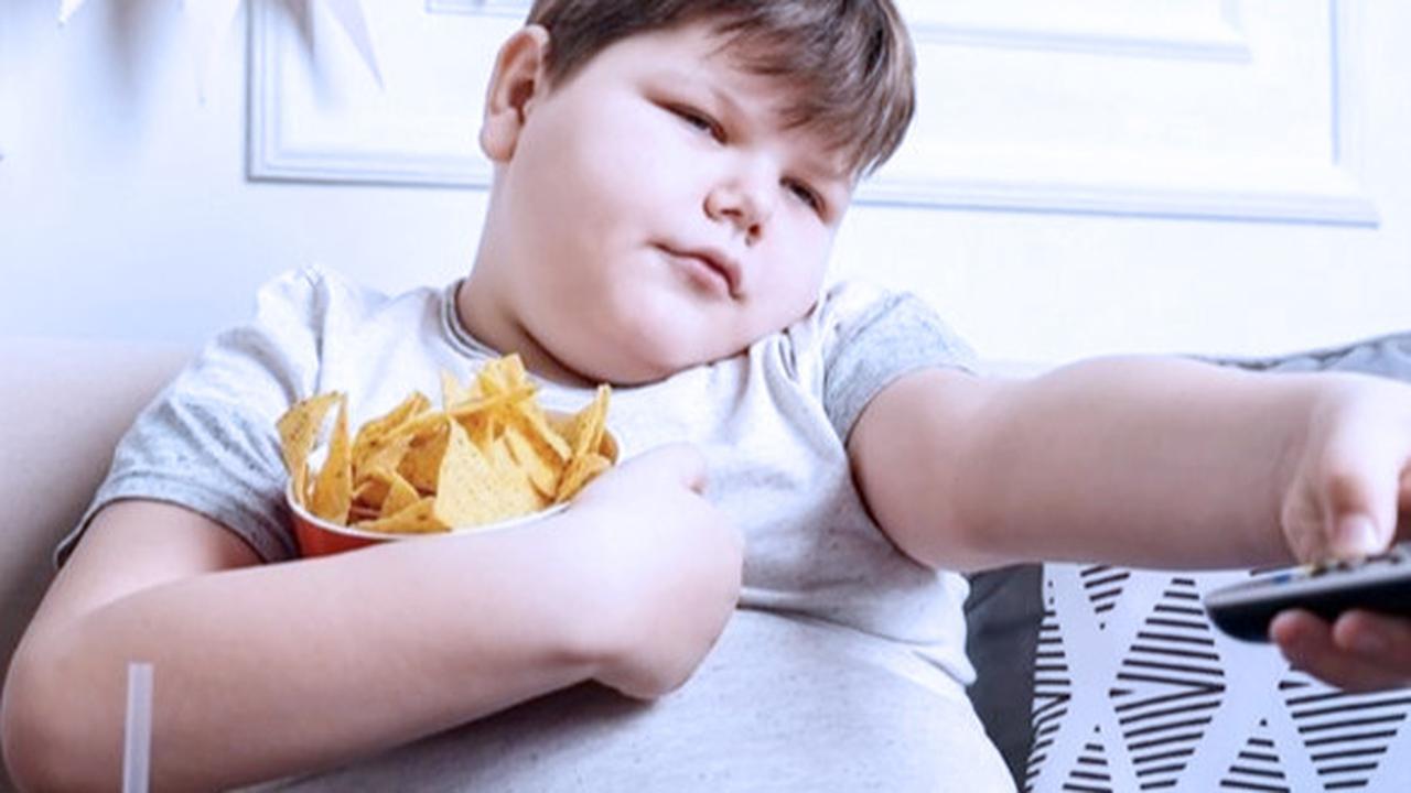 Cegah Obesitas Anak dengan Tambah Asupan Protein Hewani