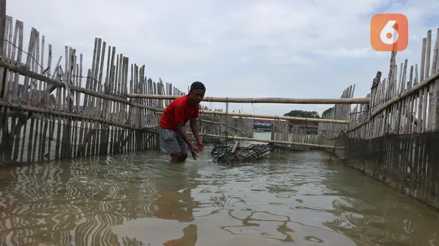 Fredi Kalengke, salah satu pemilik wayamasapi yang tersisa di Danau Poso