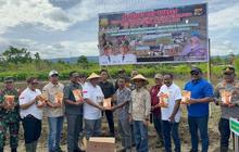 Pemprov Papua Perkuat Ketahanan Pangan Lokal Melalui Penanaman Jagung
