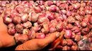 Panen yang bersamaan disejumlah daerah mengakibatkan harga bawang merah anjlok , Jakarta, Rabu (13/8/2014) (Liputan6.com/Miftahul Hayat)