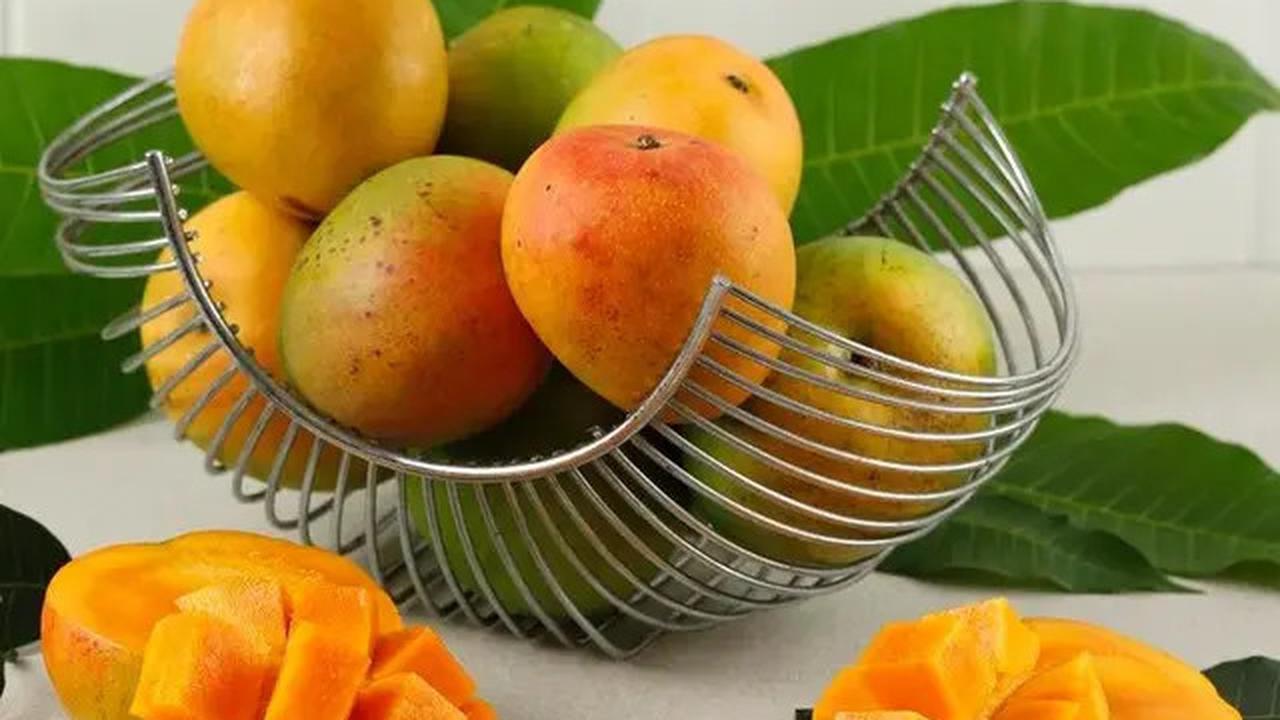 10 Buah-buahan Berpohon Pendek yang Tahan Panas, Cocok untuk Teras Terbuka