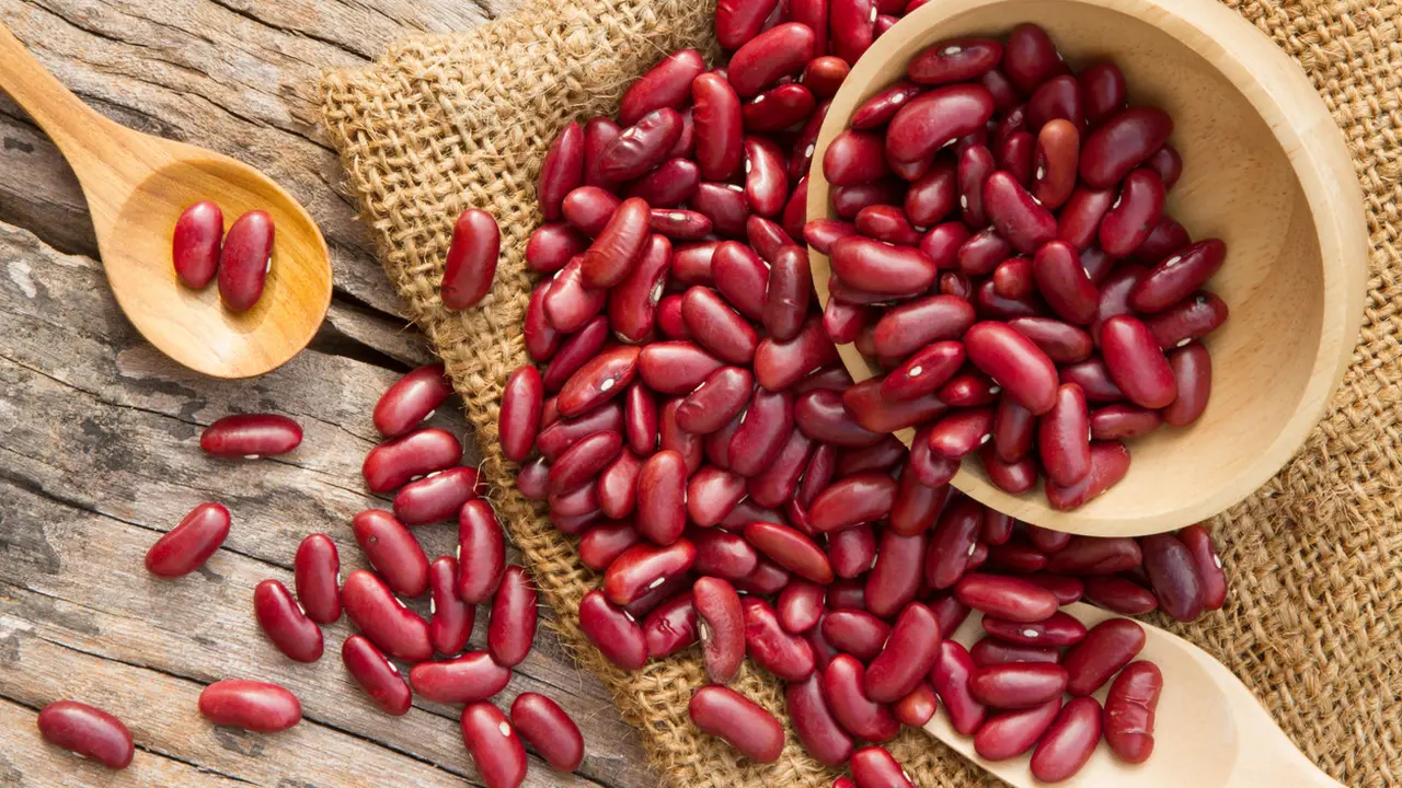 Kacang Merah