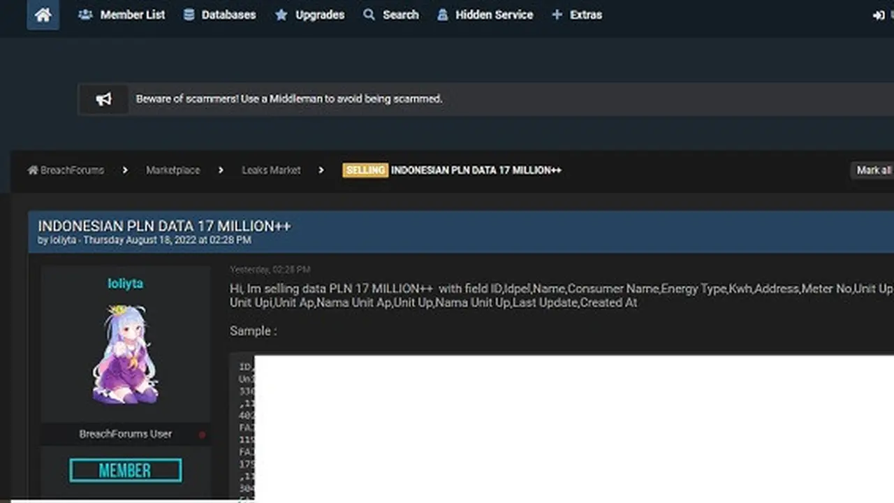 Tangkapan layar dugaan kebocoran data PLN (breached.to)