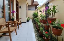 7 Tanaman Bunga Kecil untuk Teras yang Tahan Panas