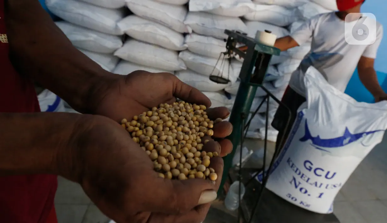 Pekerja menunjukkan butiran kedelai untuk dijual di Jakarta, Rabu (6/1/2021). Kementerian Pertanian akan meningkatkan produksi kedelai lokal untuk memenuhi kebutuhan dalam negeri sebagai respon dari melonjaknya harga kedelai impor. (Liputan6.com/Angga Yuniar)