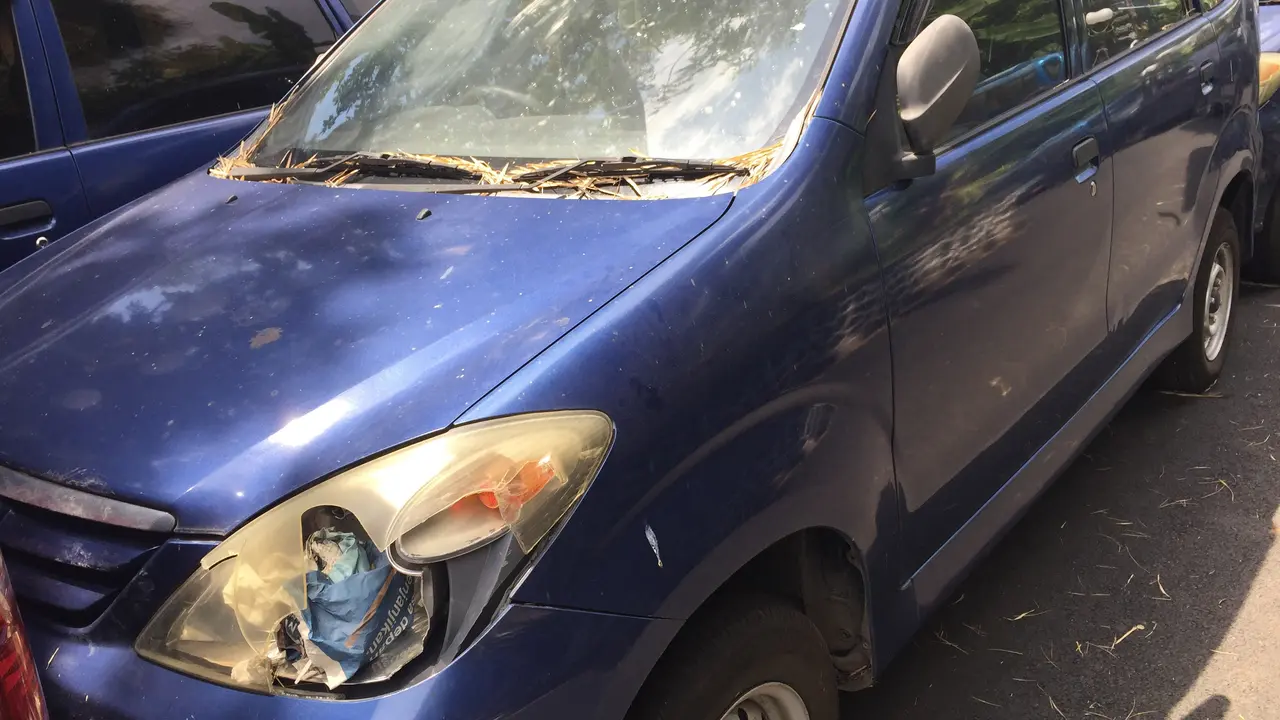 Puluhan mobil berpelat merah terparkir tanpa perawatan di halaman belakang Gedung DPR. (Liputan6.com/Devira Prastiwi)