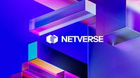 Netverse (IBF Net)
