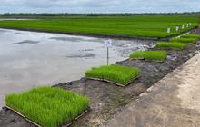 Pupuk Indonesia dan Bulog Kolaborasi Serap Hasil Petani Program Makmur