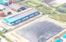 PTPN III dan Pertamina NRE Sepakati Komersialisasi Kredit Karbon, Begini Cara Kerjanya