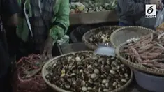 Harga jengkol bahkan mengalahkan harga ayam potong. Satu kilo, harga jengkol mencapai Rp 80.000,00.