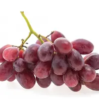 Ilustrasi anggur. (Foto: Freepik)