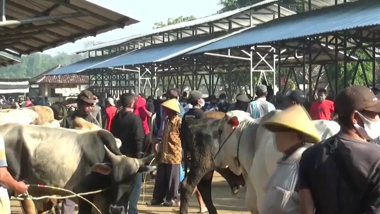 Suasana Pasar Hewan Gunungkidul