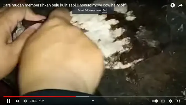 Hanya Pakai Sendok, Begini Trik Mudah dan Cepat Bersihkan Bulu di Kulit Sapi