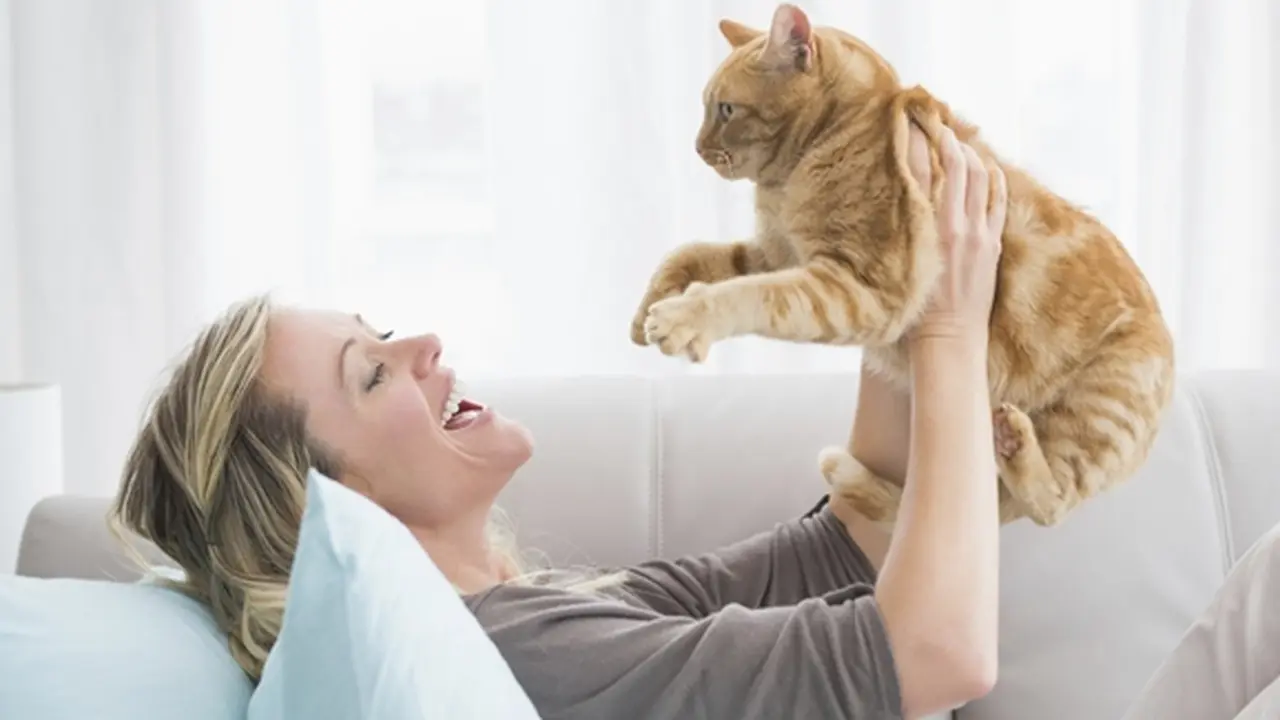 Foto: copyright thinkstockphotos.com