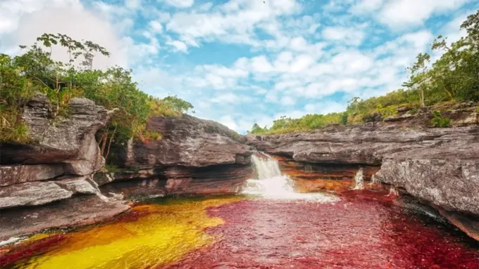[Bintang] Cano Cristales