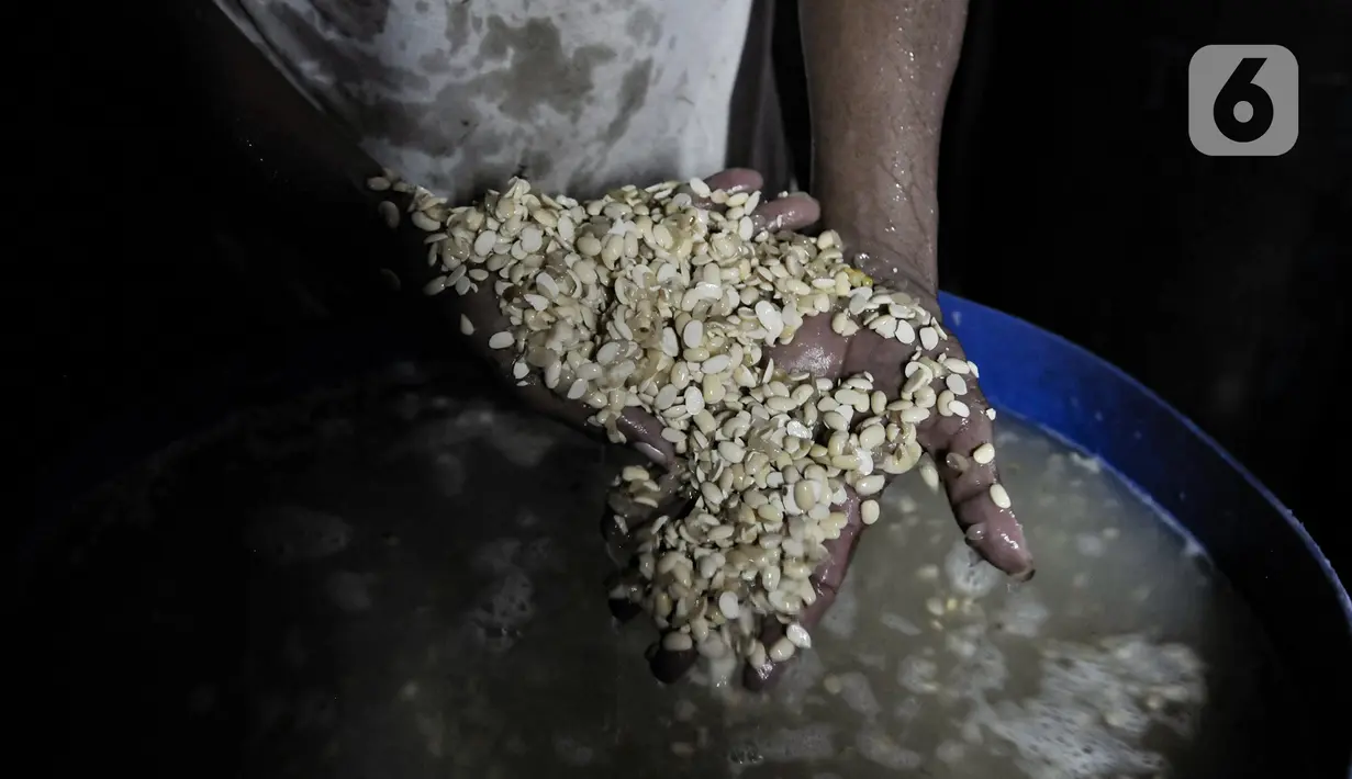 Pengrajin menunjukkan kedelai yang akan diolahnya menjadi tempe di kawasan Sunter, Jakarta, Senin (4/1/2021). Perajin tempe setempat berupaya mengurangi kerugian akibat melonjaknya harga kedelai impor dengan memperkecil ukuran tempe dan menaikan harga jual. (merdeka.com/Iqbal S. Nugroho)
