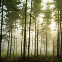 KEHATI Desak Transformasi Tata Kelola Alam